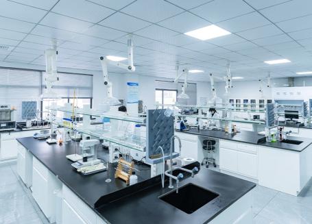 Dalubhasang Laboratoryo